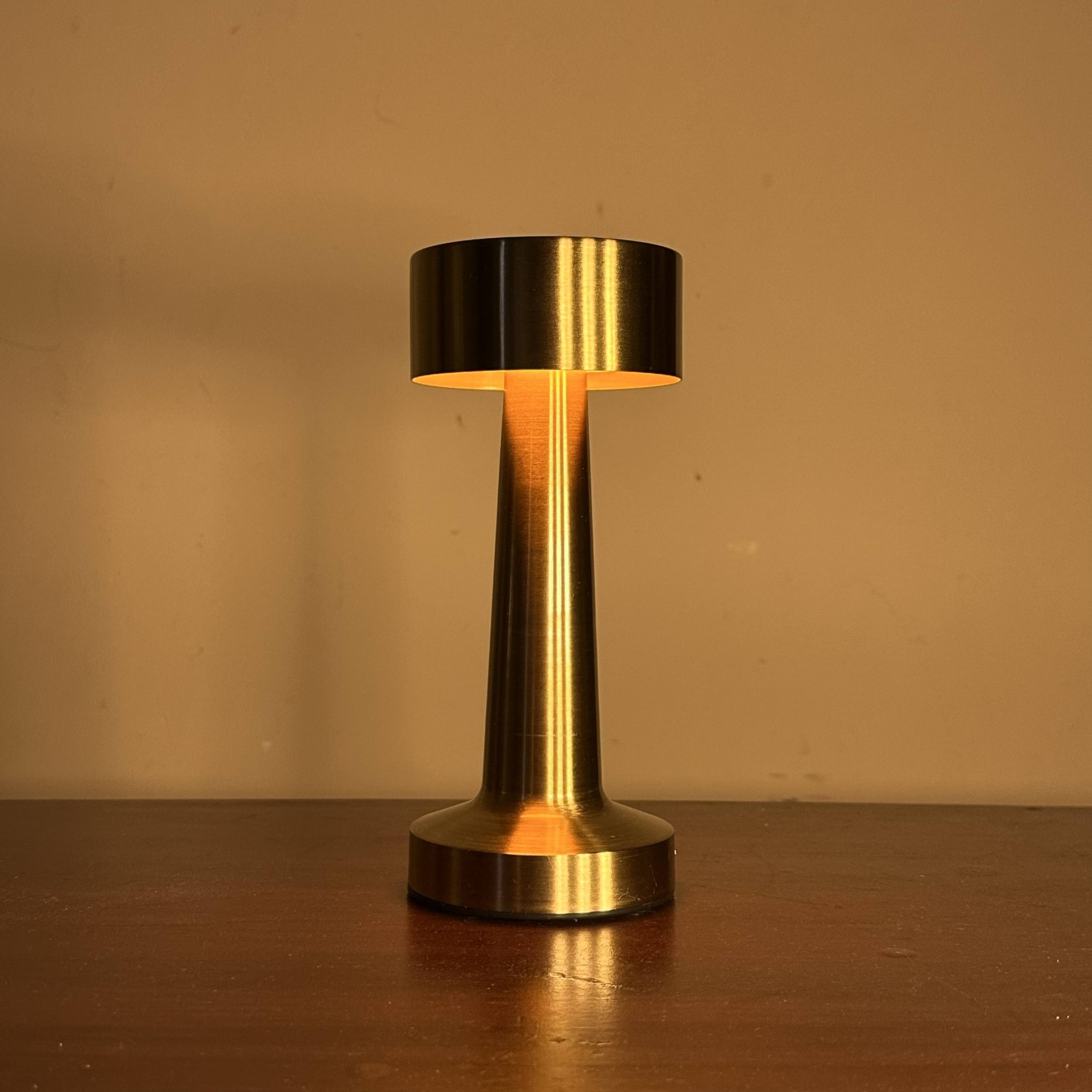 Premium Metalic Night Lamp