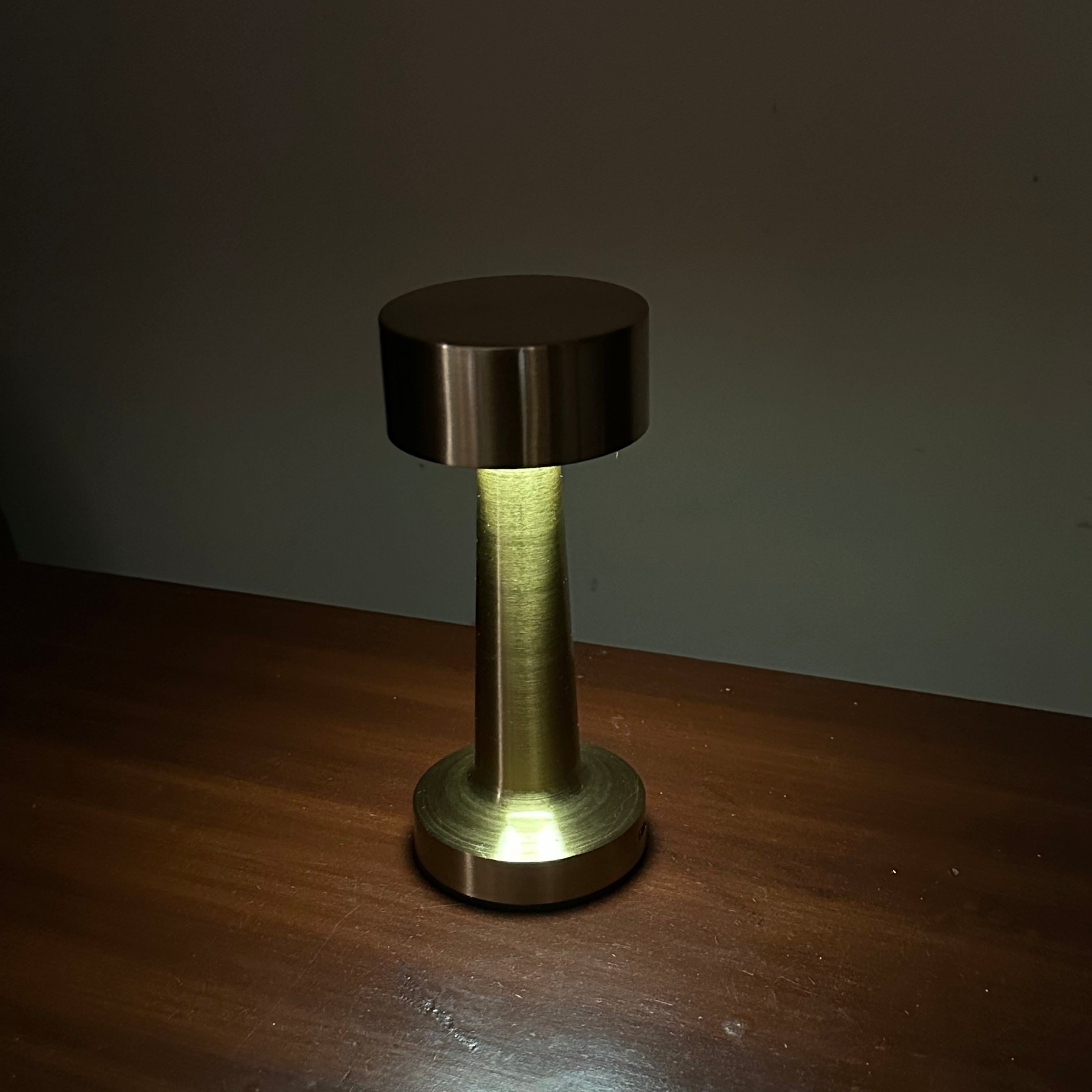 Premium Metalic Night Lamp