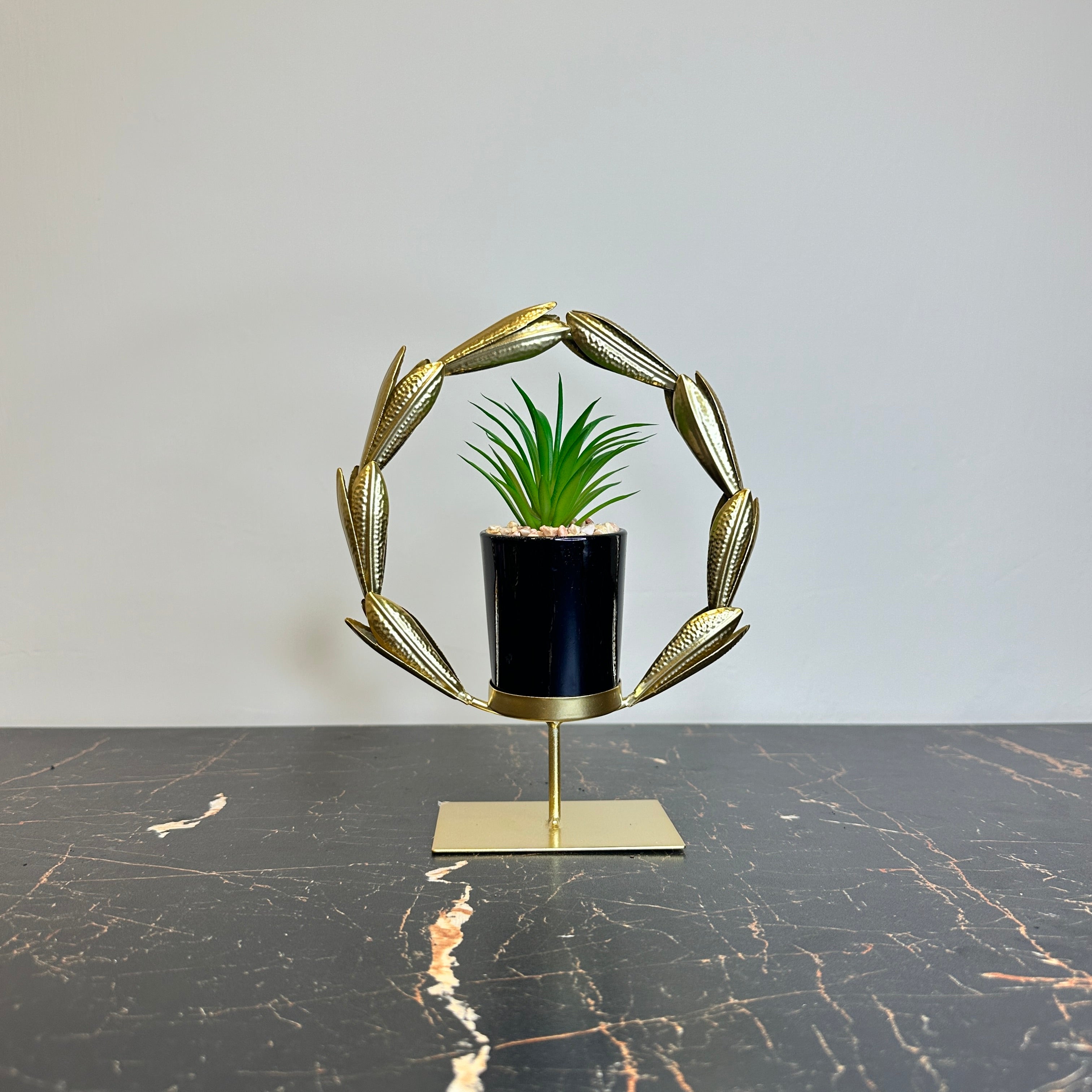 Golden Agave Plant
