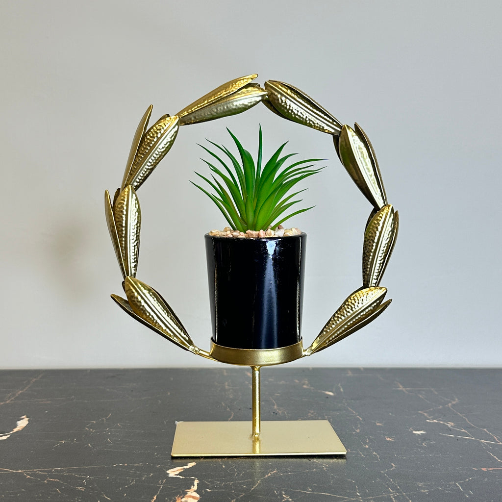 Golden Agave Plant