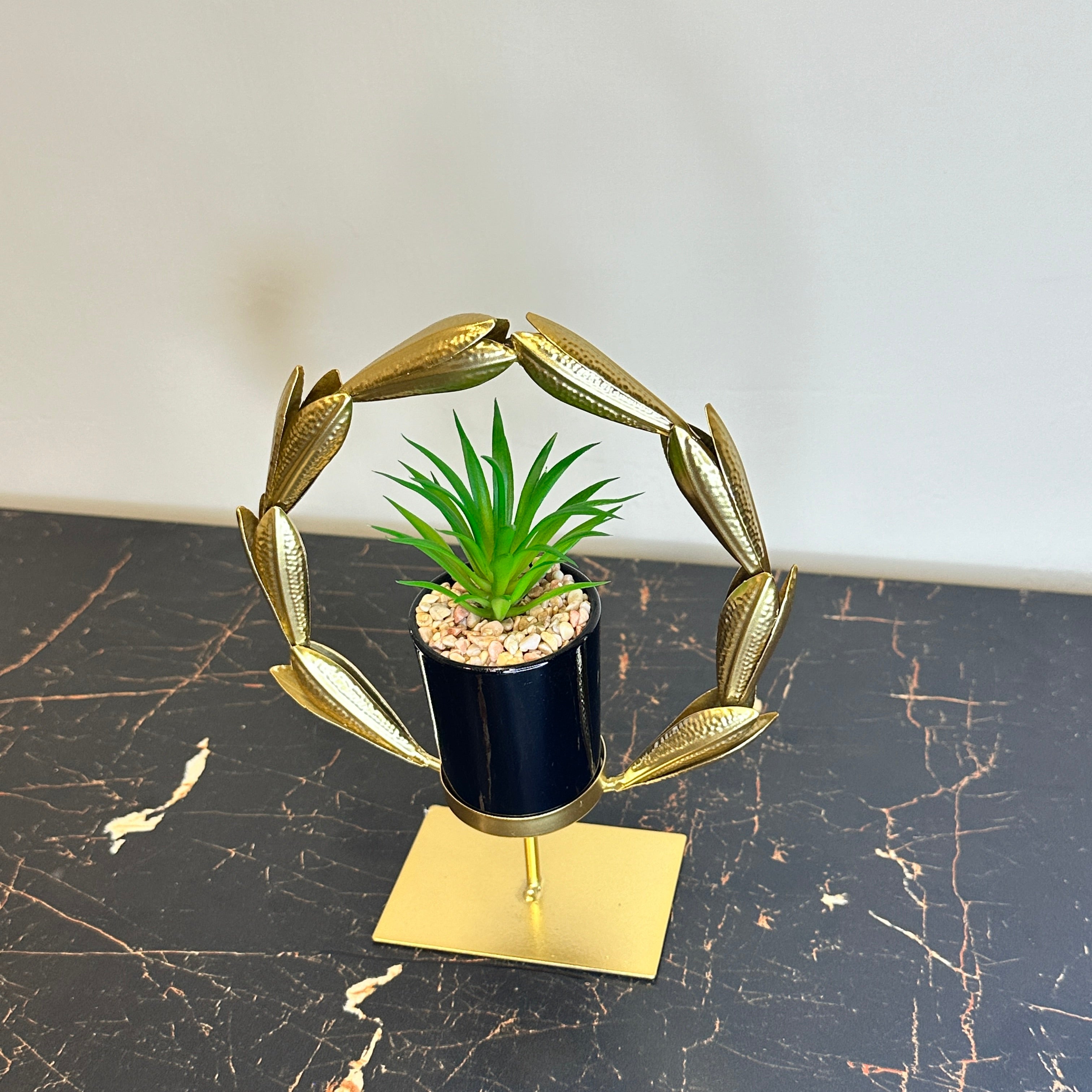 Golden Agave Plant