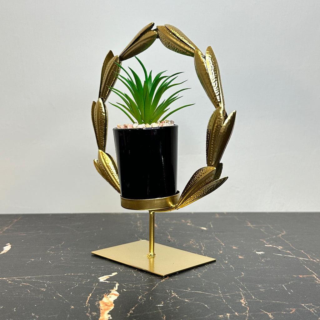 Golden Agave Plant