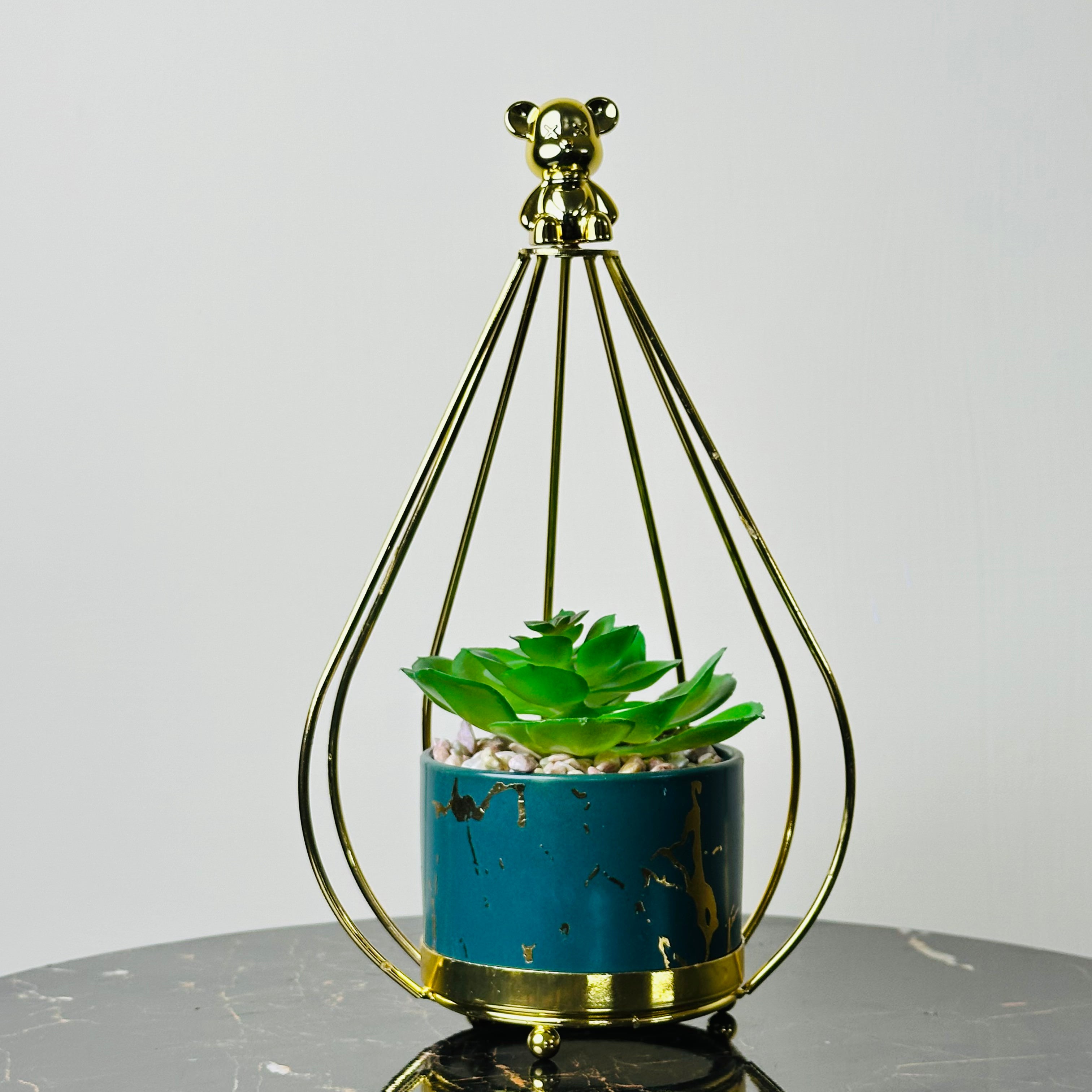Golden Bear Plant