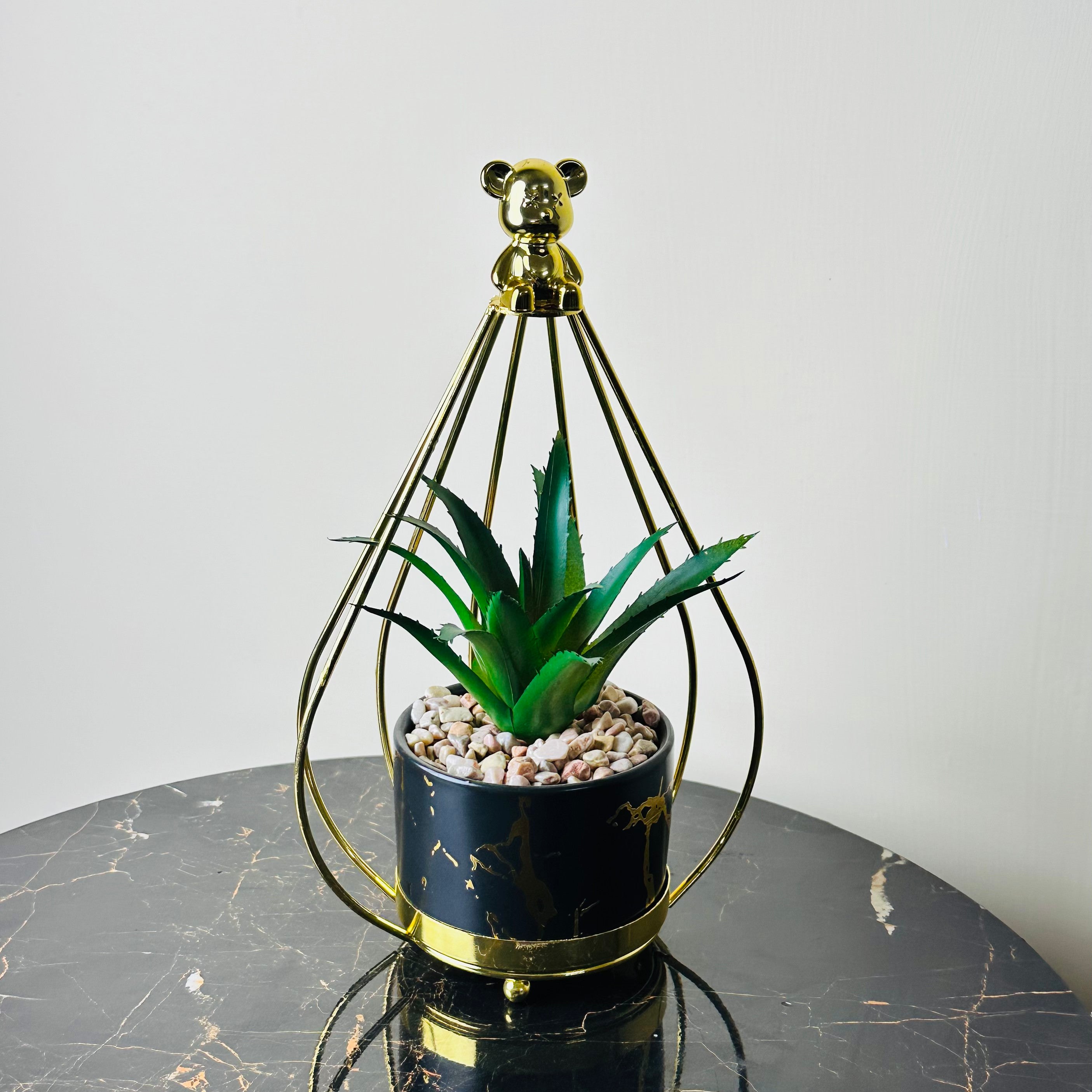 Golden Bear Plant