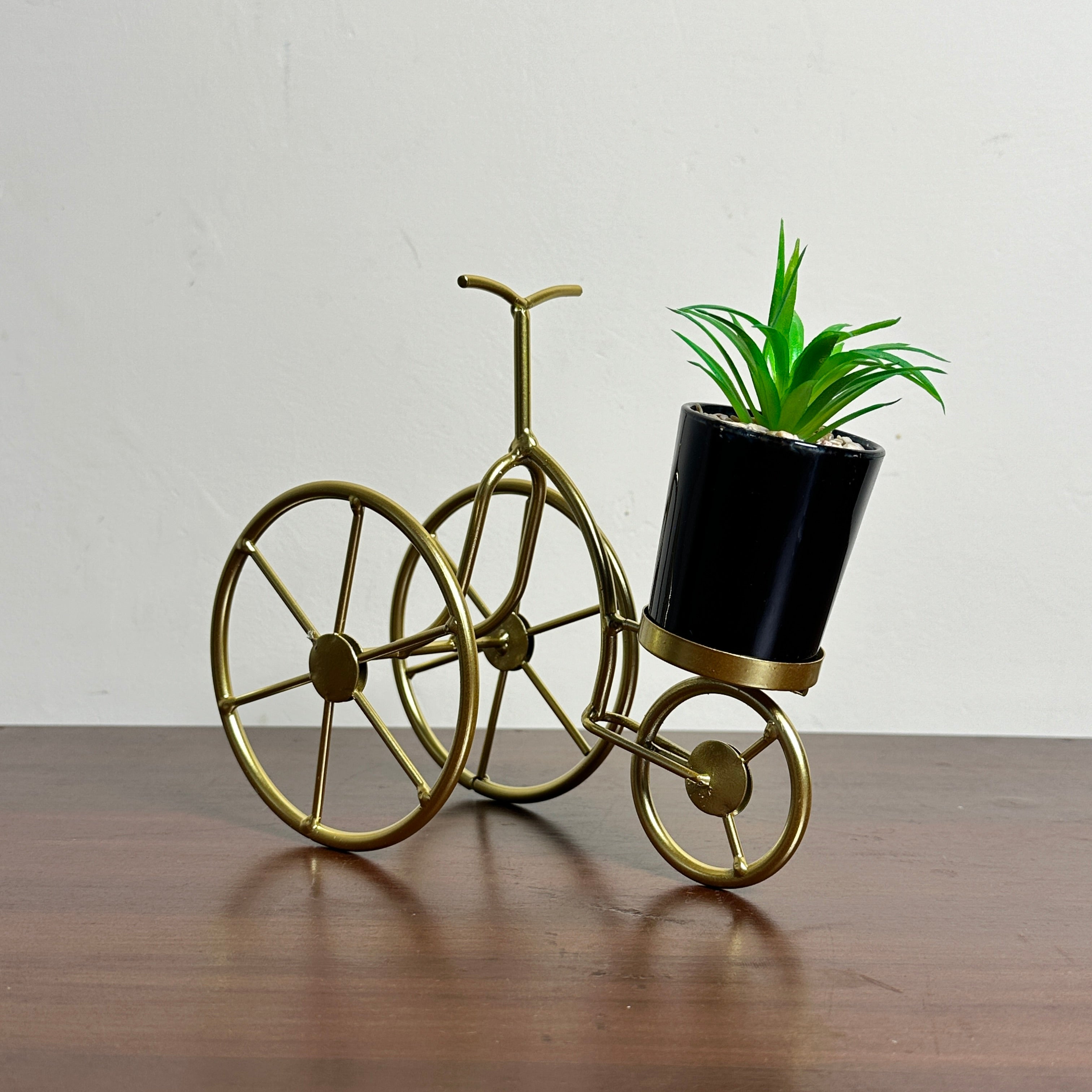 Premium Cycle Plant
