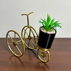 Premium Cycle Plant