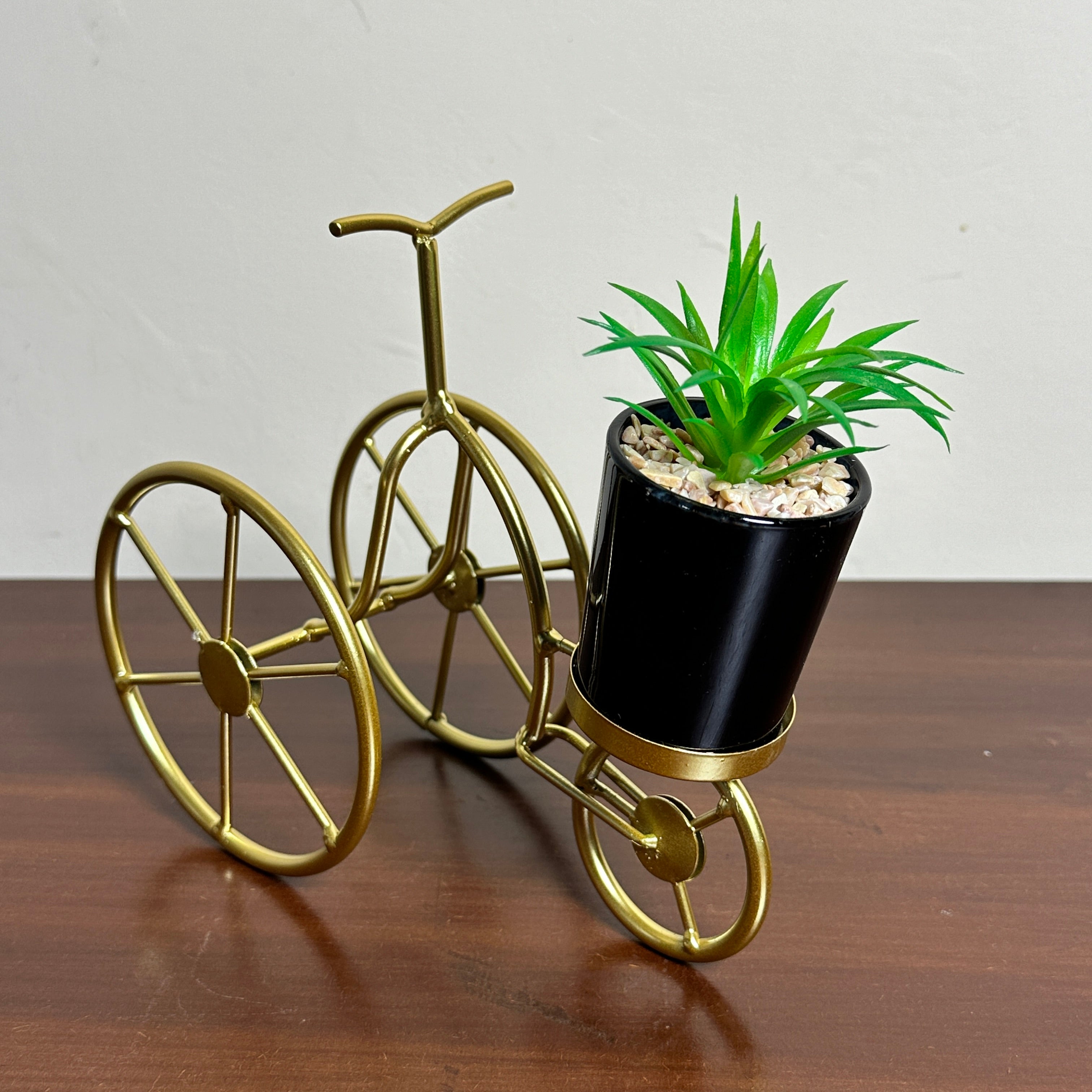 Premium Cycle Plant