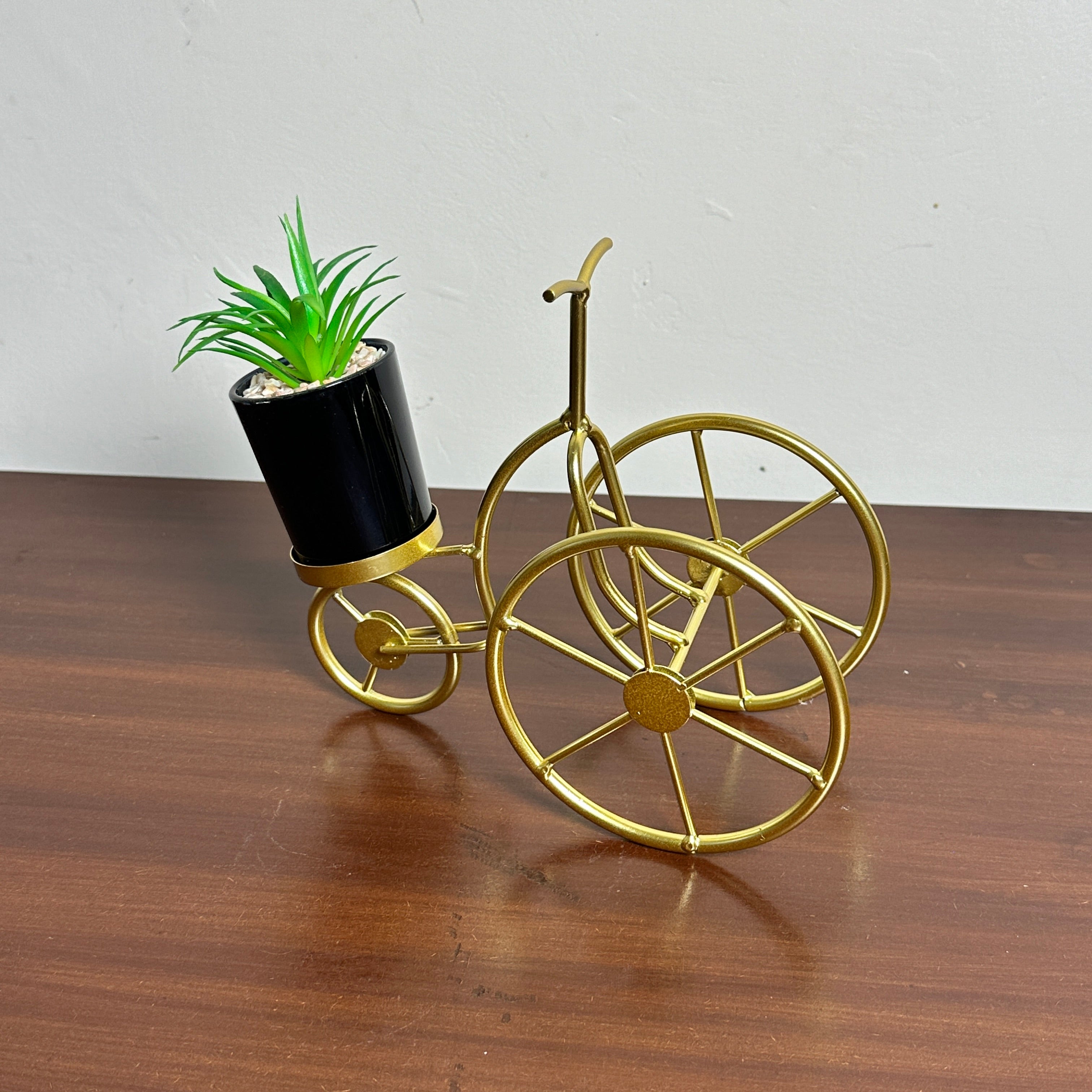Premium Cycle Plant
