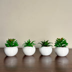 Faux Mini Plants
