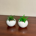 Faux Mini Plants