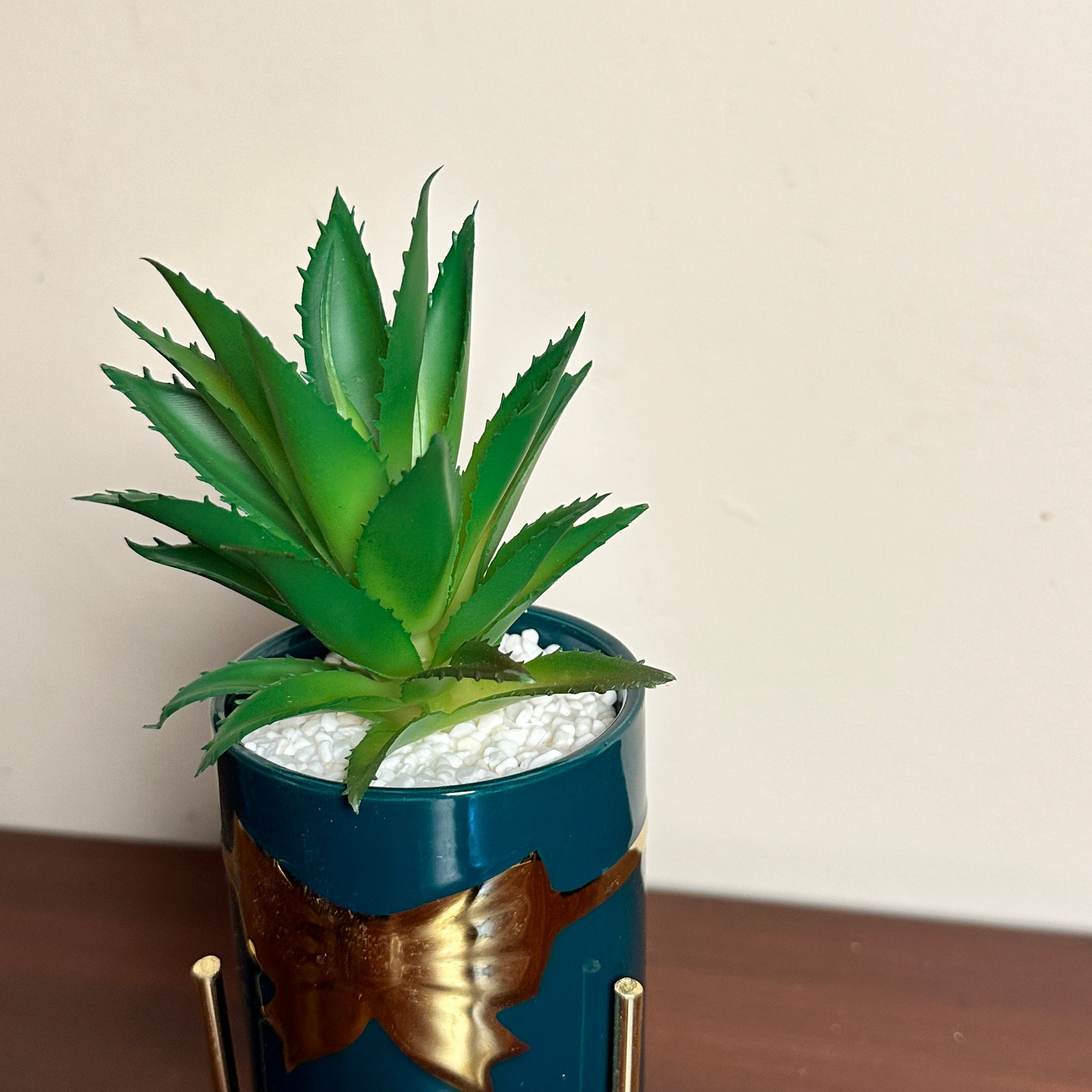 Premium Creamic Pots