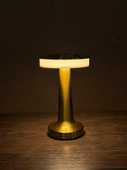 Premium Metallic Night Lamp