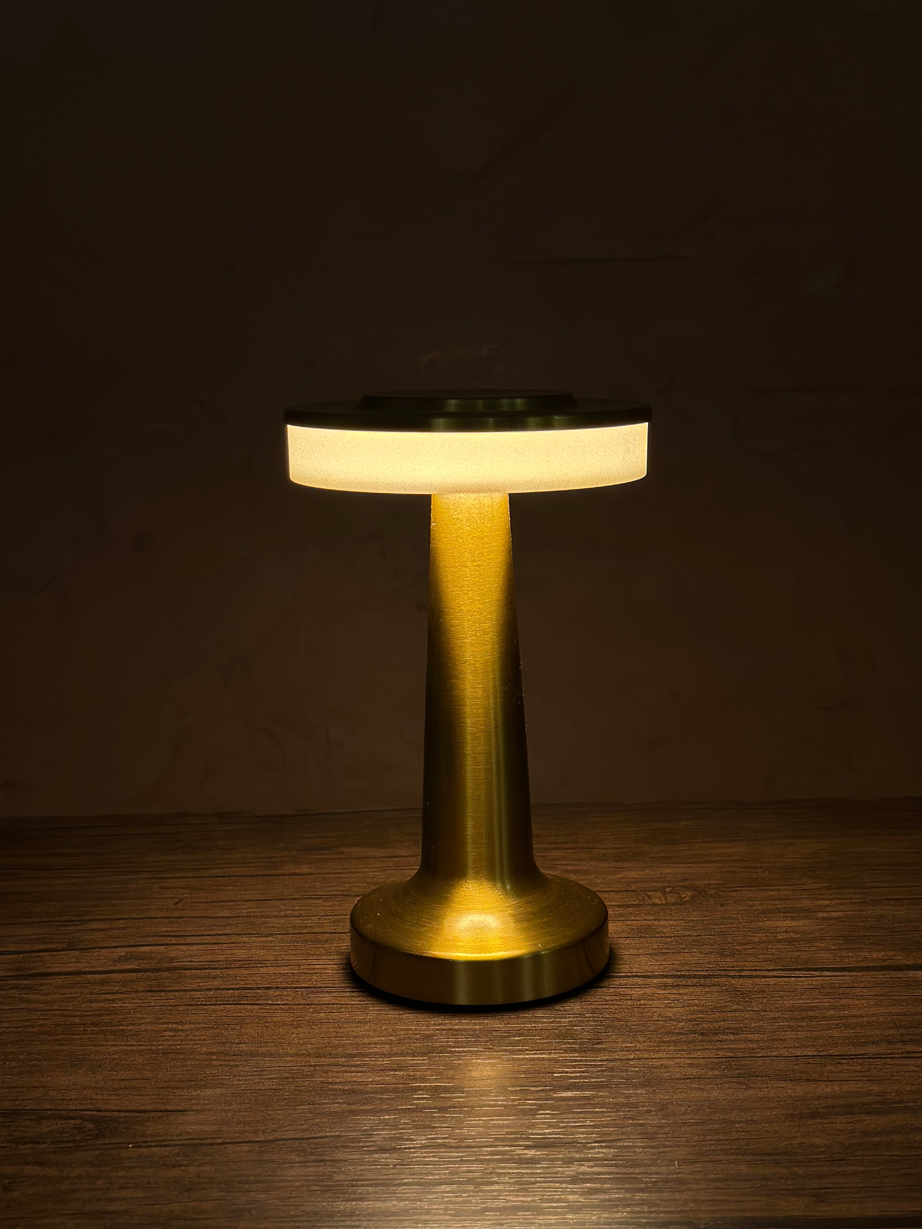Premium Metallic Night Lamp