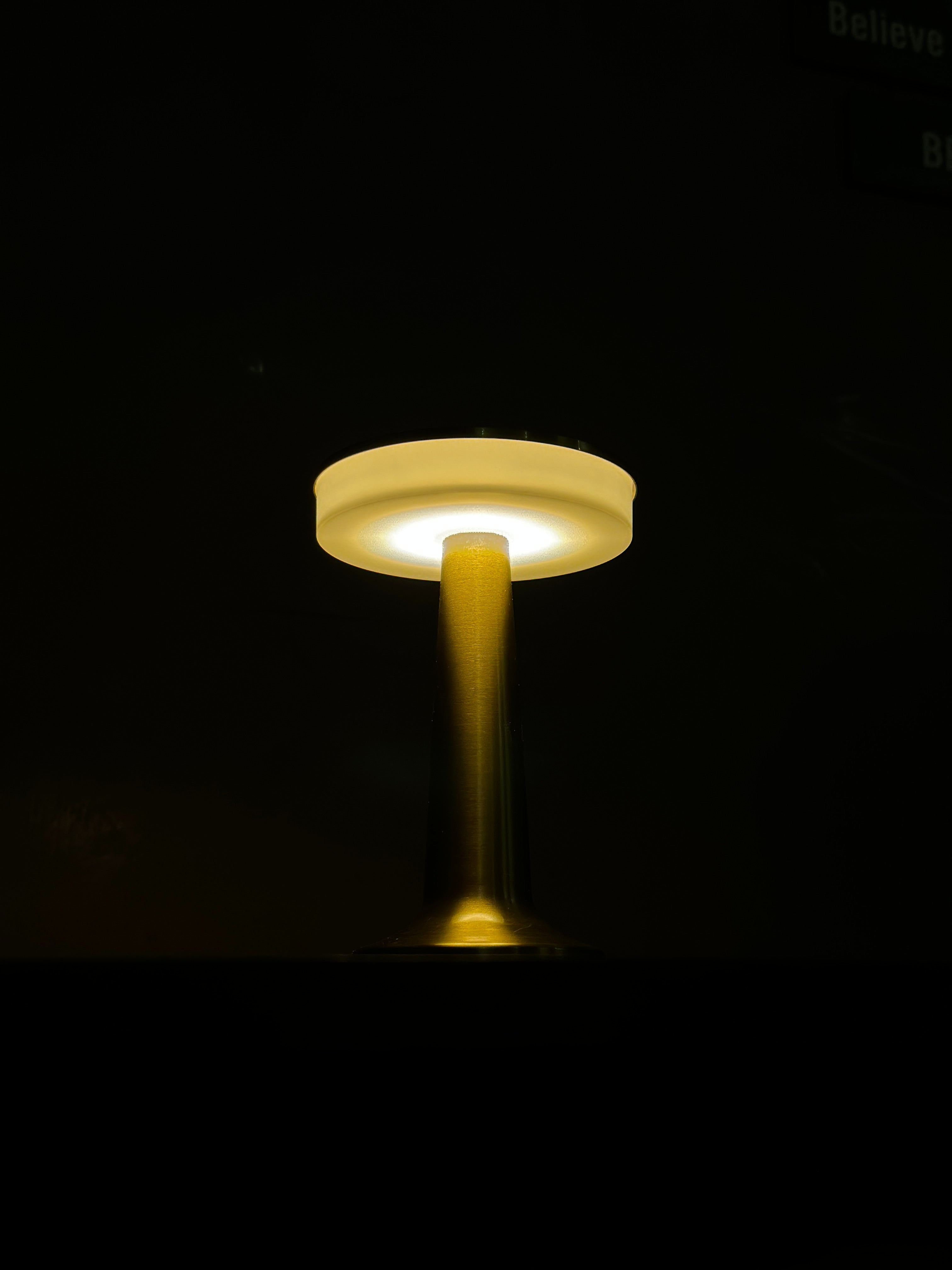 Premium Metallic Night Lamp