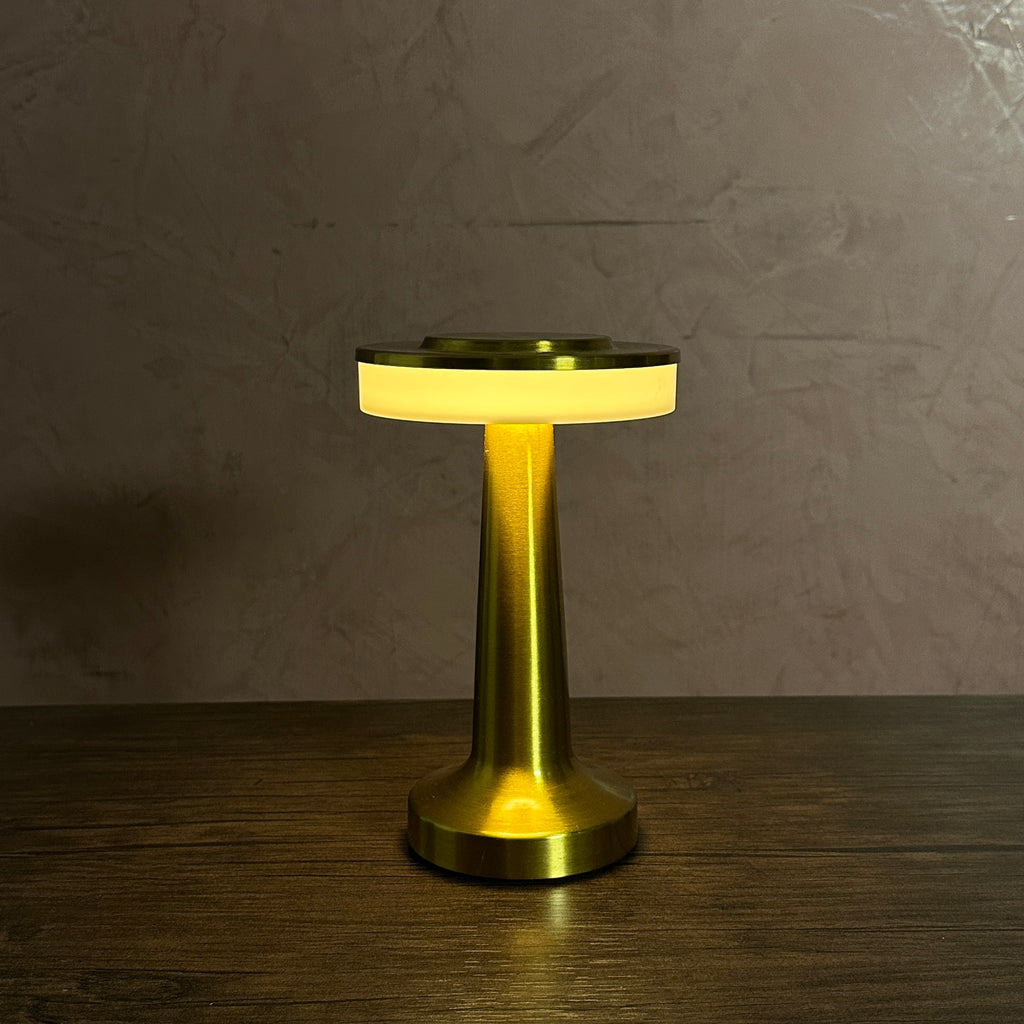 Premium Metallic Night Lamp