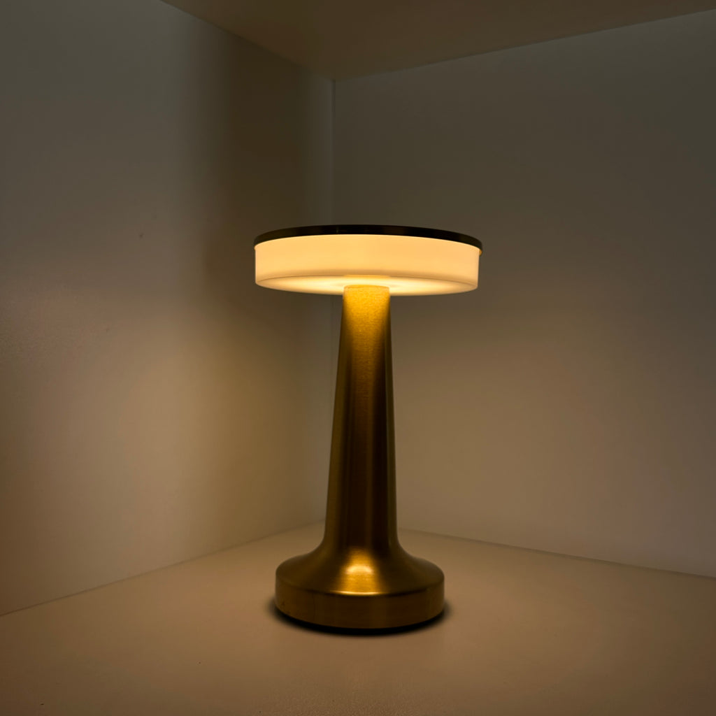 Premium Metallic Night Lamp