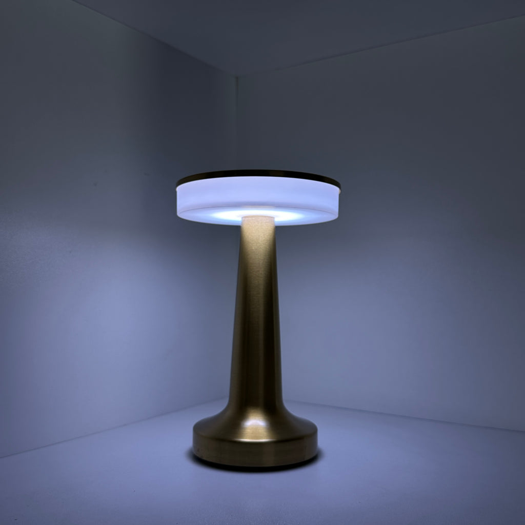 Premium Metallic Night Lamp