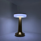 Premium Metallic Night Lamp