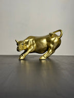Golden Premium Saand