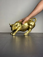 Golden Premium Saand