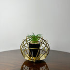 Golden Globe With Plant