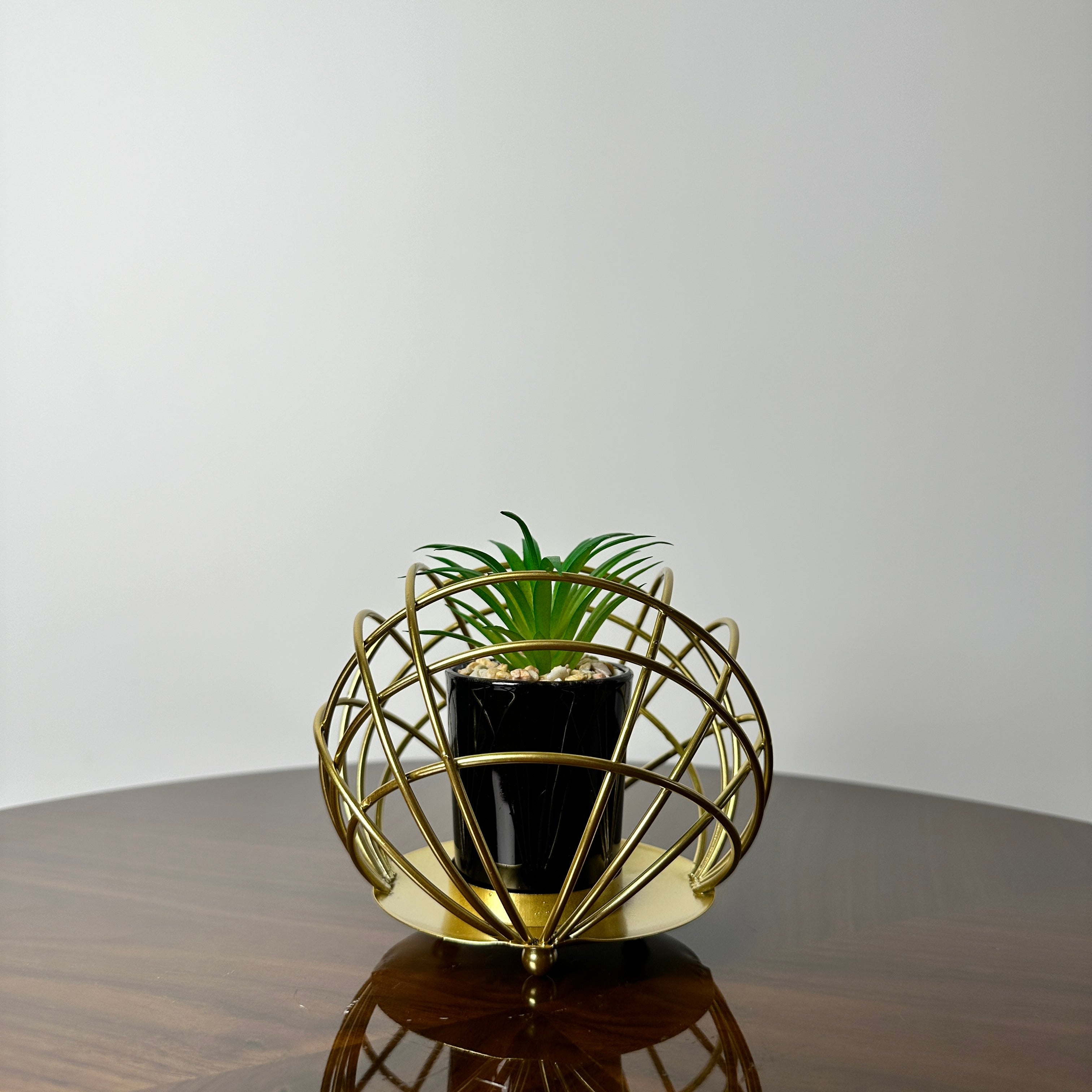 Golden Globe With Plant