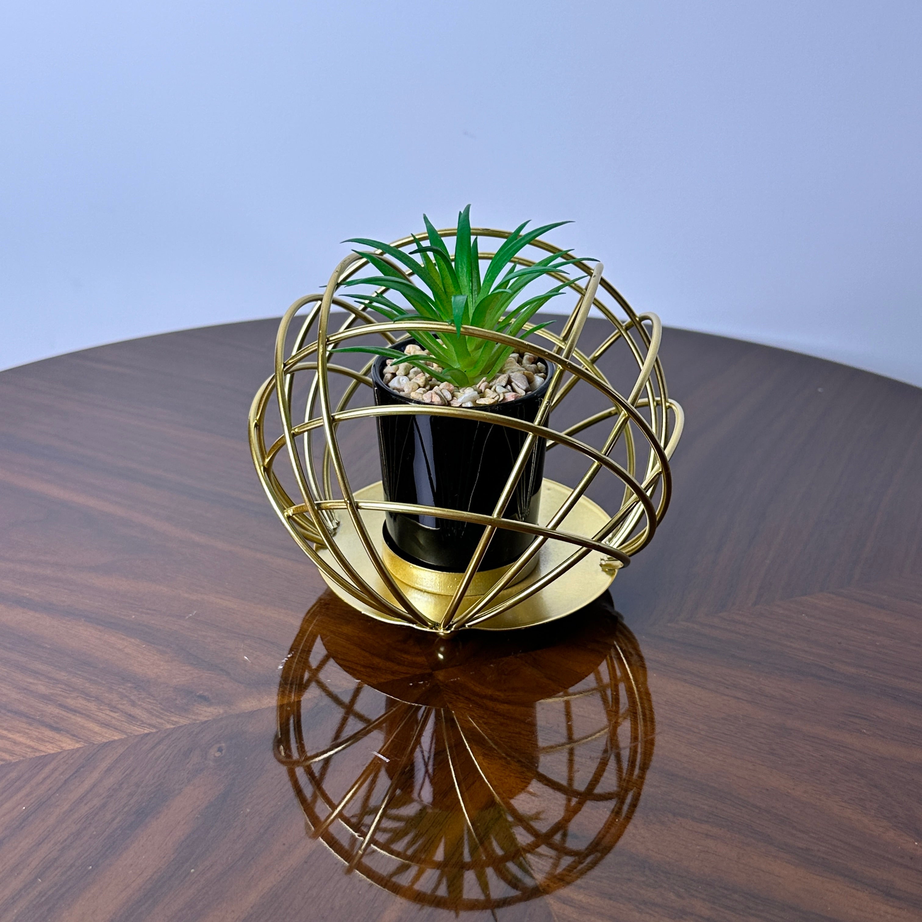 Golden Globe With Plant