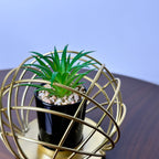 Golden Globe With Plant