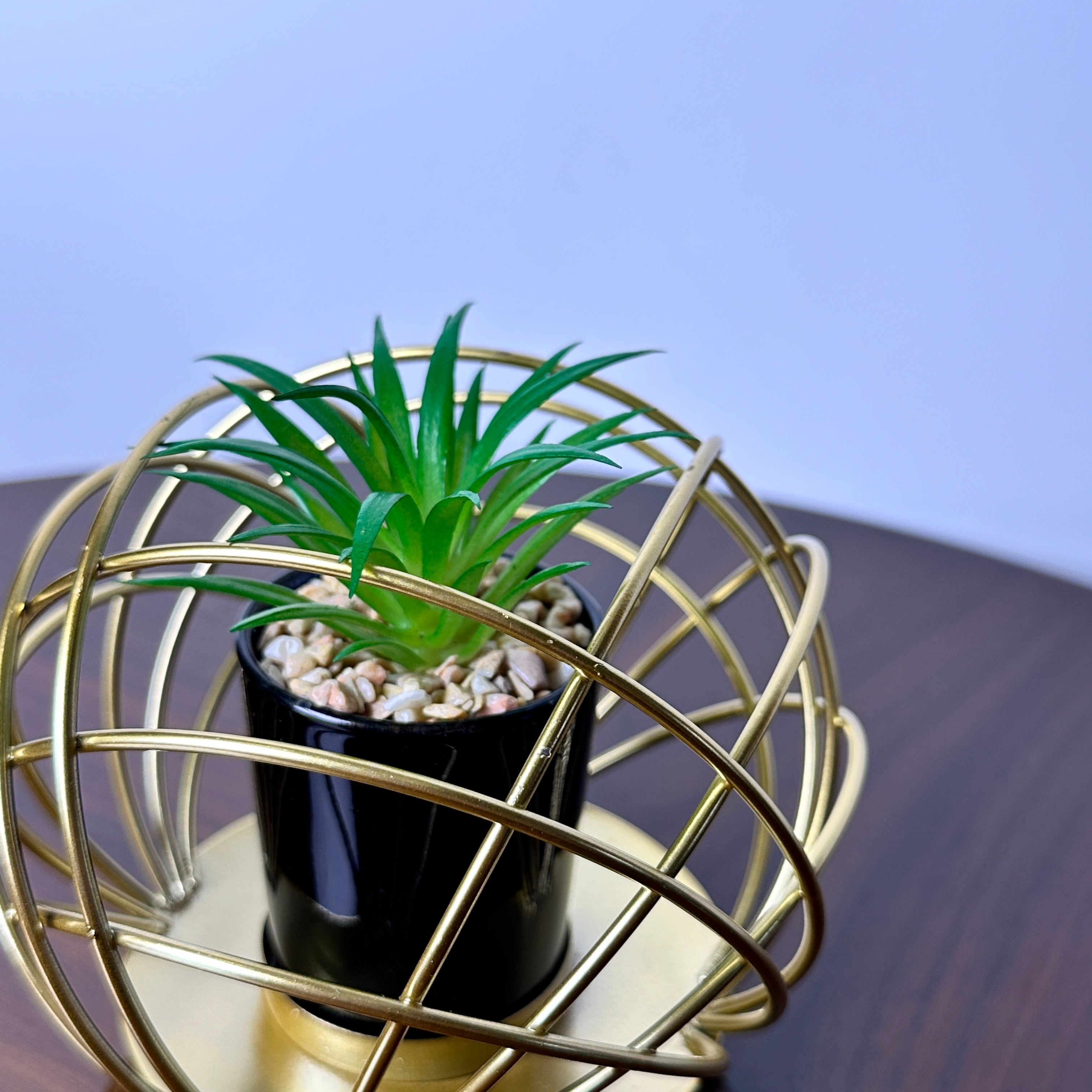 Golden Globe With Plant