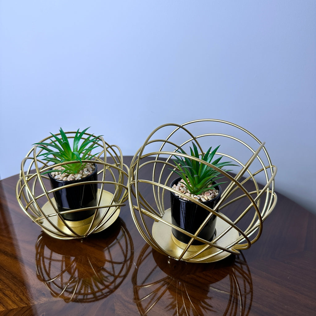 Golden Globe With Plant