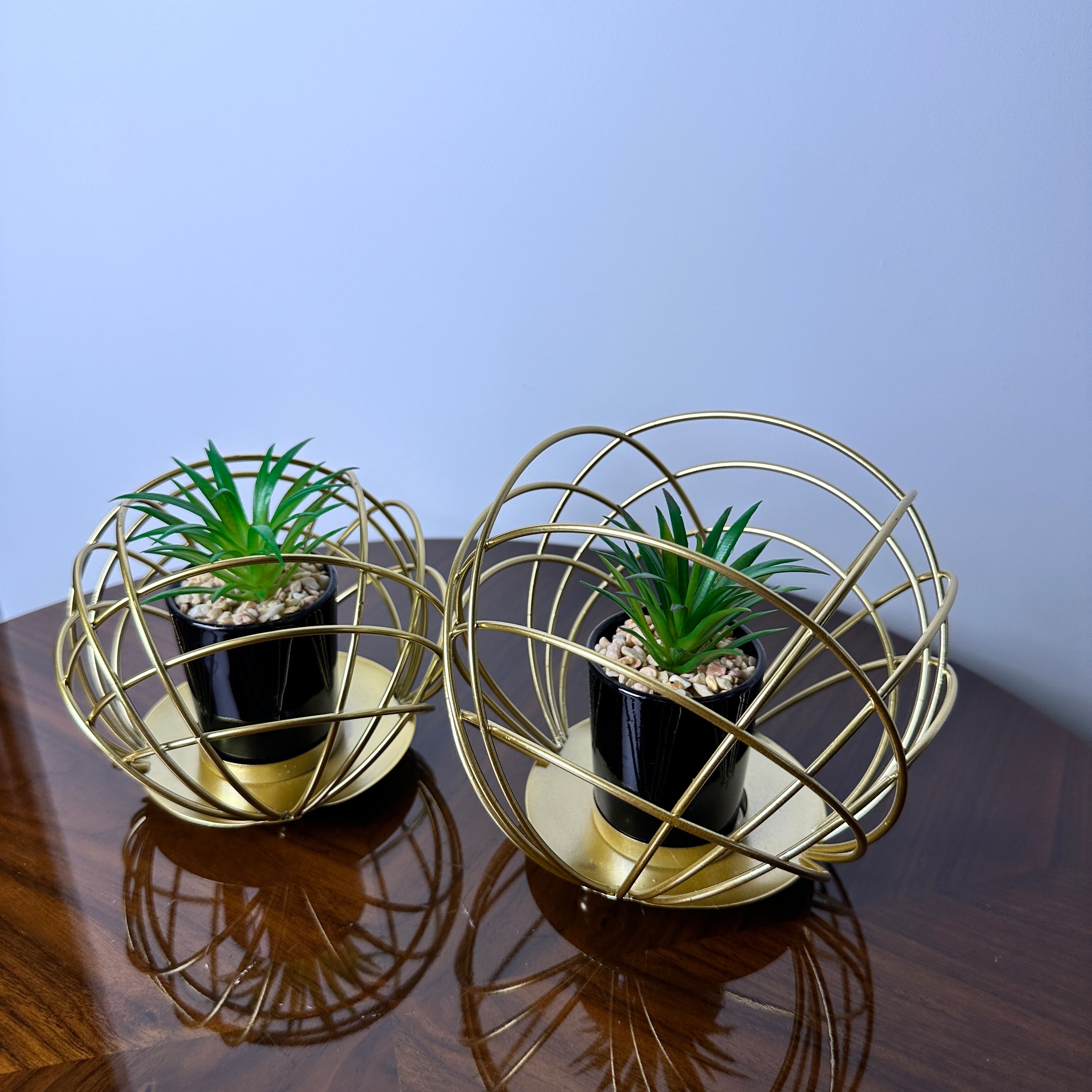 Golden Globe With Plant
